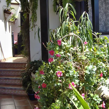 Mit Kleiner Innenhof-terrasse Im Mediterranen Stil Apartamento Icod De Los Vinos