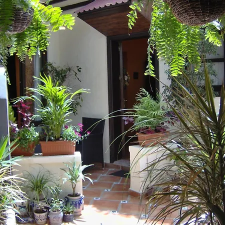 Mit Kleiner Innenhof-terrasse Im Mediterranen Stil Appartement