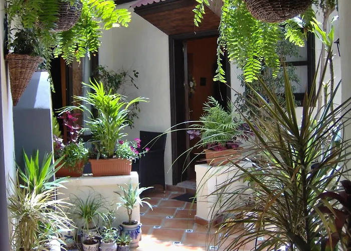 Mit Kleiner Innenhof-terrasse Im Mediterranen Stil アパート