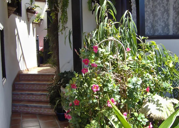 Mit Kleiner Innenhof-terrasse Im Mediterranen Stil Daire Icod De Los Vinos