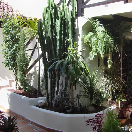 Mit Kleiner Innenhof-terrasse Im Mediterranen Stil Lejlighed Icod De Los Vinos
